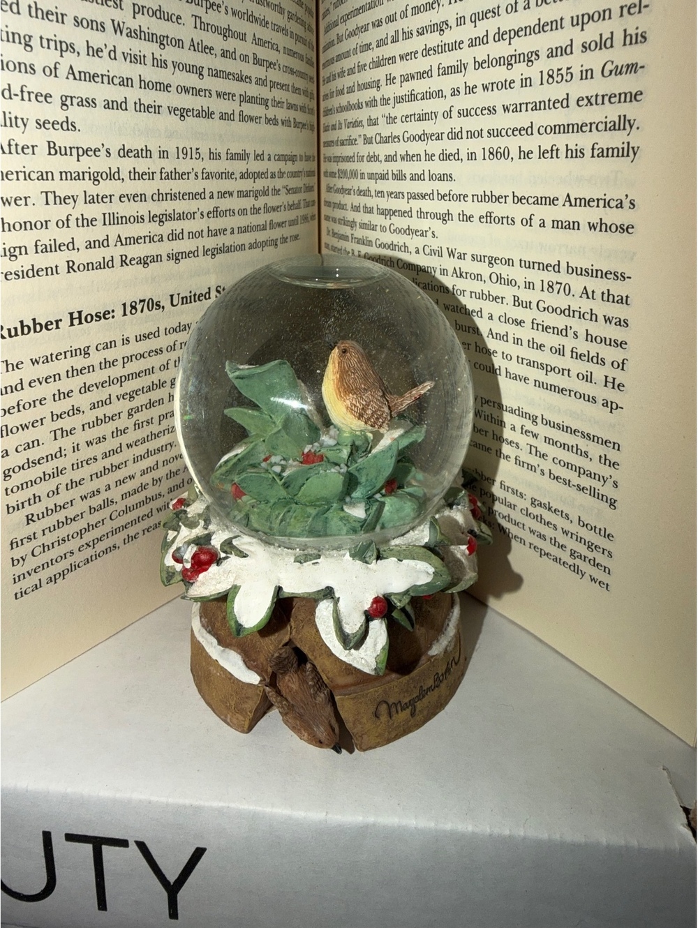 Natures Hand-Painted Bird Snow Globe on Wood Base